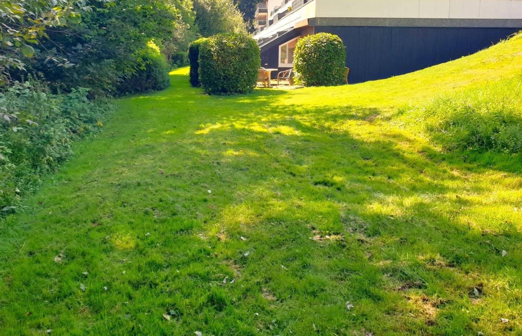 6 Pers Schwimmbad Sauna Ruheraum Freizeitabteilung Darts Tischtennis Fussball Terrasse Mit Riesem Garten Im Wald Nahe Stadmitte Und Bikepark Mit Fahrradlift Tennis Golfplatz Buchbarem Massages Im Wellnessresort Der Brabander *